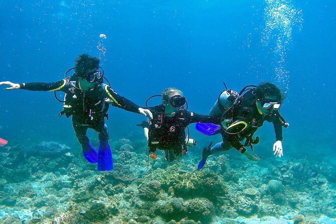 Scuba diving adventures